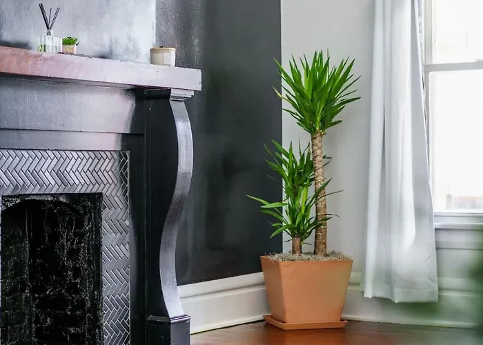 Jungle Nook By Jungle House Near Convention Center Osu & Nationwide Arena Walk To High Street Downtown & Short North 5 800 Reviews Private Parking Сasa de vacaciones Columbus