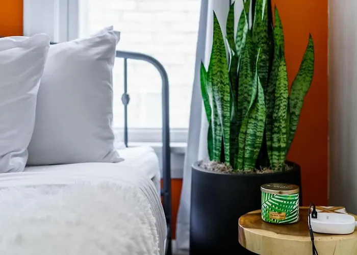 Jungle Nook By Jungle House Near Convention Center Osu & Nationwide Arena Walk To High Street Downtown & Short North 5 800 Reviews Private Parking * Columbus